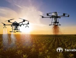 Diduga Pemicu Kebakaran Ke Kemayoran, Inilah Jenis-jenis Baterai Drone