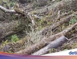 Video Promosi Wisata Gunung Salak Viral, Warga Lokal Geram!