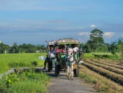 Libur Nataru, Ini Rekomendasi 9 Desa Wisata yang Layak Dikunjungi