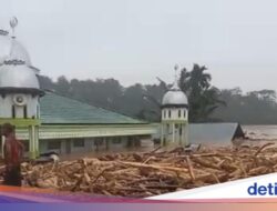 Pilu, Desa Sekumur Ke Aceh Tamiang Hilang Diterjang Bencana Alam, Tersisa Masjid