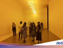 Libur Nataru, Saatnya Melihat Dunia Bersama Perspektif Berbeda Hingga Museum Macan