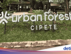 Urban Forest Cipete, Oase Hijau Gratis Di Didekat Stasiun MRT Jakarta