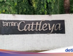 Taman Cattleya Ruang Hijau Asri Di Ditengah Jakarta Barat