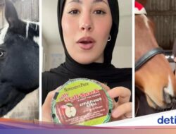 Waduh! Kini Muncul Gaya Nyeleneh Cicip Konsumsi Kuda Hingga TikTok