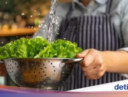 Gampang! Ini 5 Cara Simpan Selada Supaya Segarnya Awet