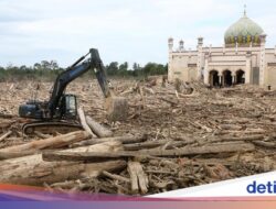 Kerusakan Lingkungan Genangan Air Aceh Karena Itu Sorotan, Perlu Restorasi Ekologis