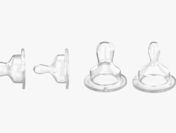 Mana yang Lebih Ramah Sebagai Mulut dan Rahang?