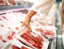 Viral Asupan Citarasa Karnivora, dr Tan Sebut Berpeluang Bisa Bikin Ginjal Rusak