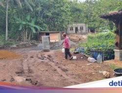 Viral Jejak Harimau Muncul Ke Gunungkidul, BKSDA Langsung Cek Ke Lokasi