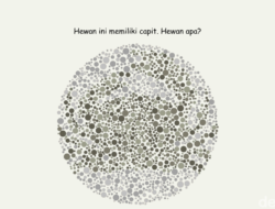 Bisa Temukan 4 Gambar Hewan? Harusnya Mudah Kalau Lolos Tes Buta Warna