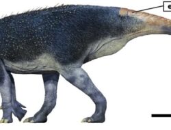 Dinosaurus Berduri Aneh Bersama Kulit yang Berbeda Untuk Hewan Mana Pun Ditemukan