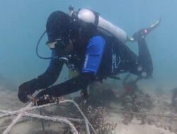 Komitmen Terapkan ESG, PLN EPI Raih Dua Pengakuan PRIA 2026