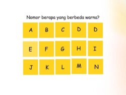 Nggak Bisa Bedakan Gambar Ini? Hati-hati, Bisa Karena Itu Kamu Buta Warna