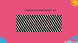 Bukan Hipnotis! Coba Temukan Angka Tersembunyi Ke Balik Pola yang Mengecoh Ini