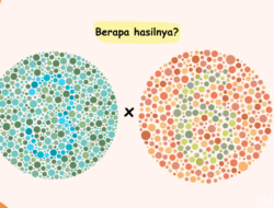 Tes IQ Sekaligus Cek Perawatan Mata, Bisa Tebak Hasilnya Berapa?