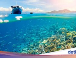 Mengenal Surga Bawah Laut Bunaken, Dulu Dipercaya Dihuni Roh Jahat