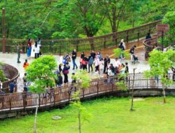 Libur Panjang, Otorita IKN Buka Kunjungan Publik Di Kawasan Nusantara