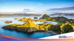 5 Alasan Pulau Komodo Harus Masuk Bucket List Liburan