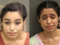 Terungkap! Wanita yang Diduga Tembaki Rumah Rihanna Pernah Terjerat Perkara Pidana Hukum Kekerasa Ndalamrumah Tangga