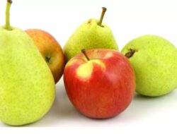 5 Buah Terbaik Untuk Sarapan Sehat dan Praktis, Bikin Energi Bertahan Lama