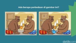 Temukan Perbedaan Di Gambar Ini! Boleh Sambil Dizoom Kok Layarnya Kalau Perlu