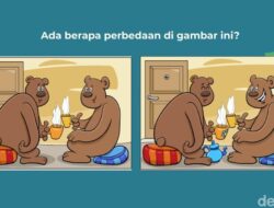 Temukan Perbedaan Di Gambar Ini! Boleh Sambil Dizoom Kok Layarnya Kalau Perlu
