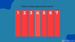 Nggak Perlu Brightness Maksimal, Bisakah Temukan Warna yang Berbeda Ke Sini?