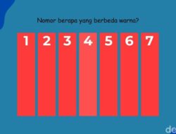 Nggak Perlu Brightness Maksimal, Bisakah Temukan Warna yang Berbeda Ke Sini?