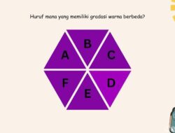 Bisa Temukan Warna yang Beda Tanpa Ubah Setting Brightness? Tandanya Punya Mata Sehat