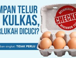 Tak Perlu Cuci Telur Sebelumnya Disimpan Di Kulkas, Ini Alasannya