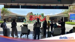 Viral 2 Perempuan Baku Hantam Ke Bandara Bali, Polisi Selidiki