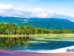 Jepang Ingin Lebih Banyak Wisman Hingga Taman Nasional, Targetnya 14 Juta Kunjungan