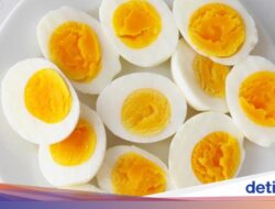 Makan Telur Tiap Hari Tanpa Bisulan dan Jerawatan? Ini Rahasianya