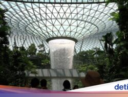 Paspornya Hilang Hingga Bandara Changi, Turis China Ngamuk-ngamuk Hingga Petugas