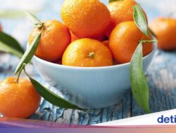 Jarang Cepat Busuk, 5 Buah Ini Cocok Karena Itu Stok Harian Hingga Tempattinggal