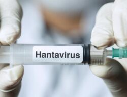 Waspada Hantavirus, Kemenkes Terapkan Skrining Tanda-Tanda Untuk Pelaku Perjalanan LN