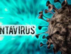 Dinkes DKI Temukan 3 Tindak Kejahatan Positif Hantavirus, 6 Suspek Masih Dipantau