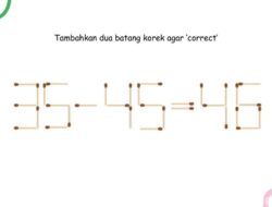 Tebak-tebakan Seru Sambil Tes IQ, Pindahin Korek sampai ‘Correct’