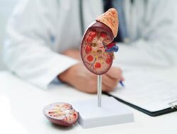 Kenali Gagal Ginjal Kronis, Si ‘Silent Disease’ yang Sulit Terdeteksi Dini