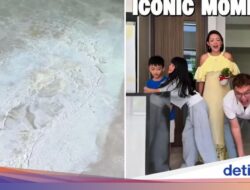 Tinggalkan Nanas 3 Hari Di Tempattinggal Mutakhir, Keluarga Ini Malah Kena Apes