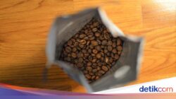 Namanya Tipika Minuman Kafein, Inilah Minuman Kafein Arabika Tertua Ke Dunia