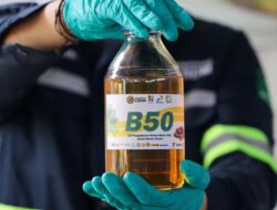 Berapa Harga Solar B50 per Liter?