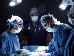 Di Ginjal hingga Paru, Ini Organ Babi yang Pernah Didonor Hingga Manusia