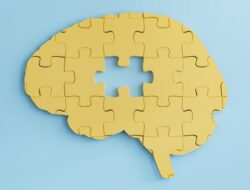 Terobosan Mutakhir! Ilmuwan Temukan Cara Bantu Penyembuhan Otak usai Stroke