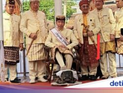 Ritual Injak Kepala Kerbau Di Lampung Ditarik Di Politik, Jokowi: Nggak Nyambung