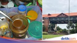 4 Ribu Mahasiswa Positif Cacing Hati, Penyebabnya Diduga Citarasa Ini