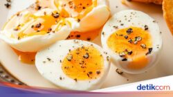 Jumlah Kalori Telur Rebus, Dadar, dan Setengah Matang, Mana Paling Rendah?