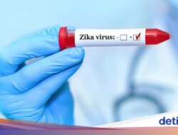 AS Terbitkan Travel Warning Ke Bali gegara Mikroba Zika, Dinkes: Belum Ada Peristiwa Pidana