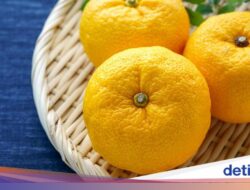 Bukan Cuma Matcha, 4 Superfood Jepang Ini Bermanfaat Sebagai Imunitas