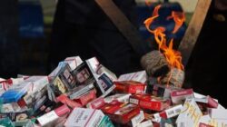 Cegah Kebocoran Fiskal, Ekonom Dorong Penindakan Rokok Ilegal